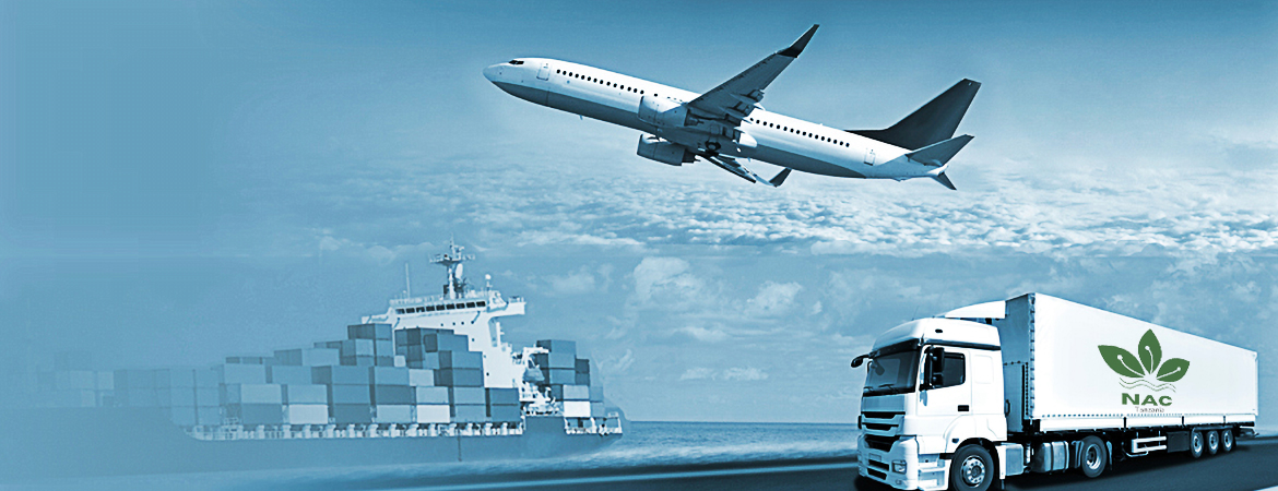 Food Transportation across continents